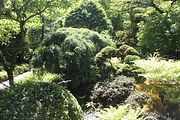 102 - Butchard Gardens  - IMG_1714